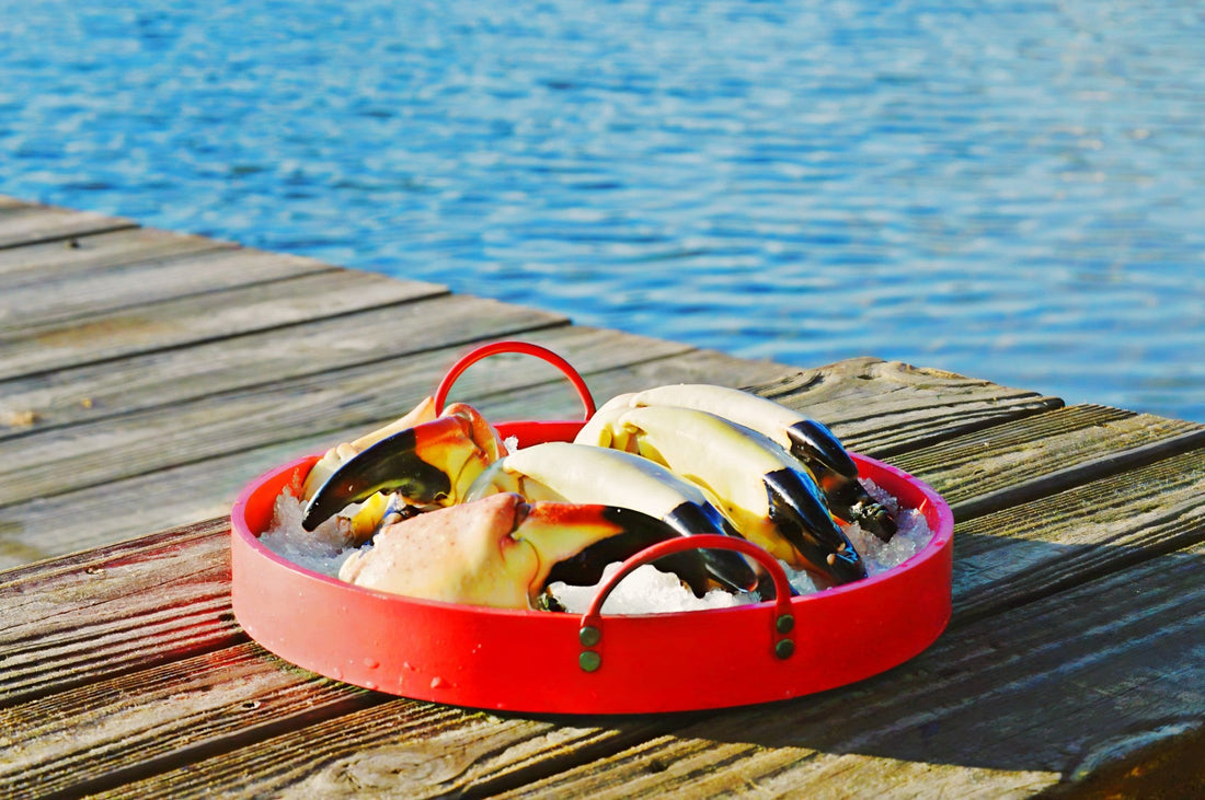 Discover the Best Stone Crab in Miami Dade!